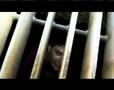 Gel & Metal Carter ft Duke Montana - Corpus Christii