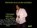 tombe-degli-avi-miei-yordi-ramiro-tenor-lucia.html