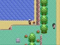 pokehack test 3