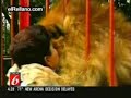 Abrazo-de-Leon