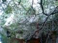 Mediterranean landscape in California - YouTube