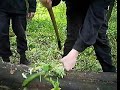 SAS Hrabova- TeleShoping HenklBach Majstr Maser