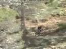 fresh snow mojito mountain biking film