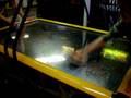 videos de Jerry & Thomas Air Hockey.MOV