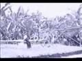 videos de SHIEK SALAMAT HASIM PART 1