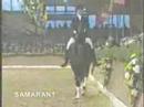 Dressage at it\