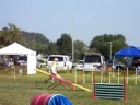 Merlot  2nd AX leg