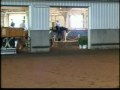 A ruf Mistress NRHA Derby 2009.avi