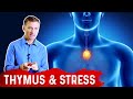 Thymus, the Missing Link in Viral Protection