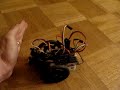 Servo the homemade robot