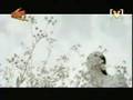 七里香-Jay Chou