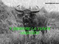 El Barzón (con la letra)