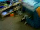 wirdo 1