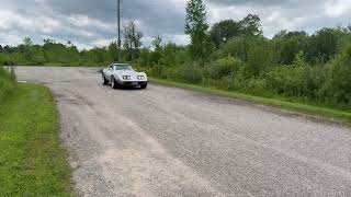 1979 Chevrolet Corvette Drive-By