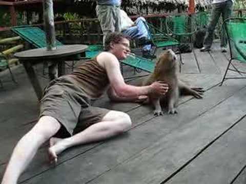 Capybara