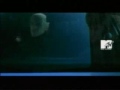 well it all started out as just messing around, but i think that it turned out pretty cool.  now don't think that i am against afi because i ain't, so no hating.  i don't own afi so don't delete this.  it is just a fan video.
(c) afi