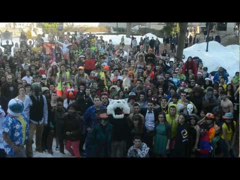 Anti Harlem Shake (Northeastern Edition)