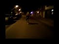 dejvi wheelie