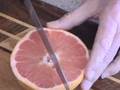 Grapefruit