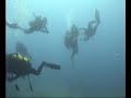 Diving Trip - Jupiter, FL