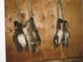 waterfowl hunting (pics)03-08{IIFID}