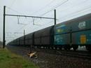 HLE 1333 + 1305 in Mortsel