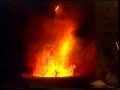 LOS ASESINOS SILENCIOSOS Cap 10