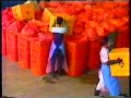 LOS ASESINOS SILENCIOSOS Cap 10