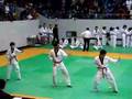 Taekwondo Pumse 3