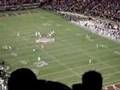 Craig Steltz hit at LSU vs. Alabama game