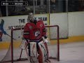 Basingstoke Bison v Sheffield Steelers 29/11/08 Basingstoke Bison v Sheffield Steelers 29/11/08