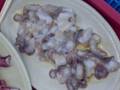 Eating Moving Octopus Tentacles in Korea