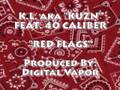 Red Flags