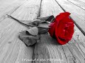 I Give You A Rose.