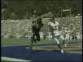 Desean Jackson Complete Highlights 1
