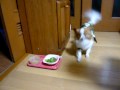 クララ！