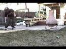 backyard sesh