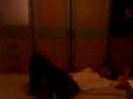 bastista vs. undertaker comedy