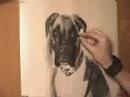 Como dibujar un bonito perro llamado Kira