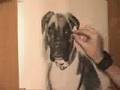 Como dibujar un bonito perro llamado Kira