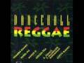 RAGGAE VOL 7 Dj Shak Attack ORDER NOW!!!