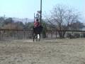 videos de Veda Trot Nov 08