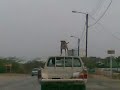 crazy super dog !!