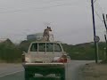 crazy super dog !!