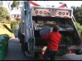 Greens--A Renewable Resource (pt 2)