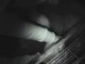 videos de ALF expose, raid and trash rabbit farm (UK)