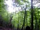 les louves a la montagne