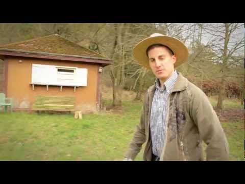 pitpol - Fir all déi, di et genau sou wi mir net wossten: