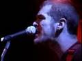 Red Animal War: "When Fat Pigs Fly" (live)