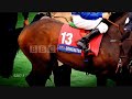 Equestrian//*Blv.of Broken Dreams*
